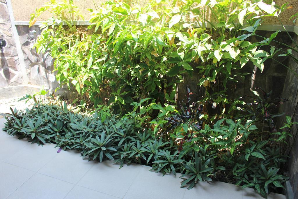 Magus Homestay Pemuteran Exterior foto